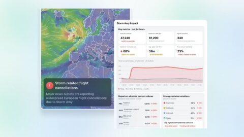 Ask Spotlight